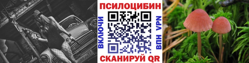 купить наркотики цена Избербаш Псилоцибиновые грибы GOLDEN TEACHER