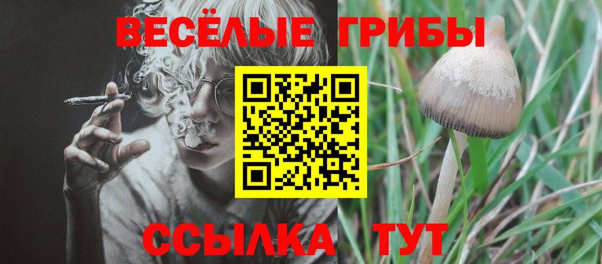 Галлюциногенные грибы Cubensis  Галлюциногенные грибы Magic Shrooms  Вход с VPN  Избербаш 